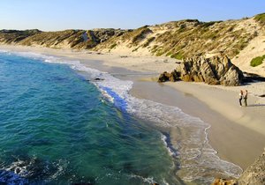 5 Reasons To Love Gansbaai